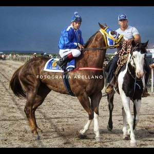 Meet your Posher, Adrian